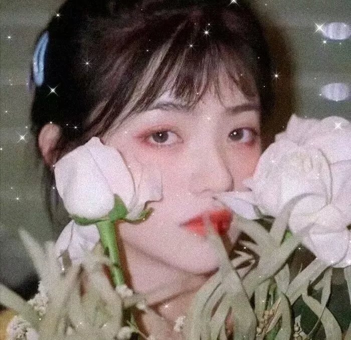 花开与你的半夏