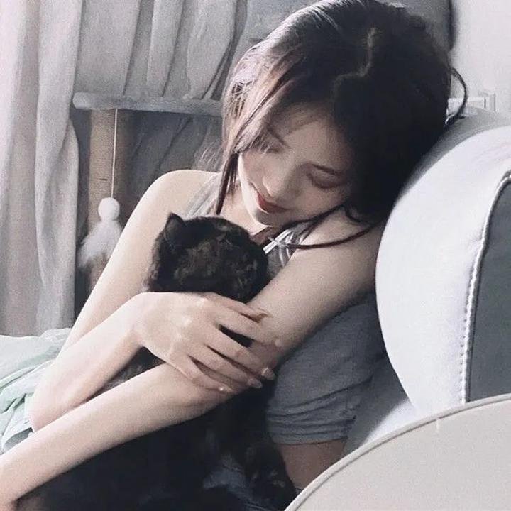 圣诞追缉令
